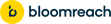 Bloomreach-Logo